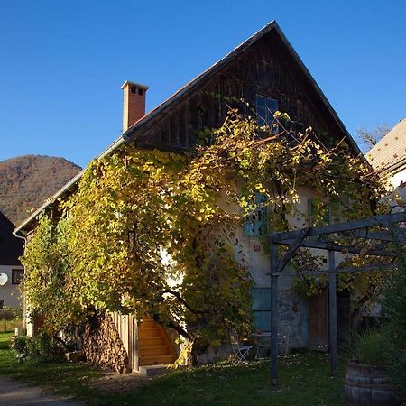 Vintage House Podliparska Guest House Fara ภายนอก รูปภาพ