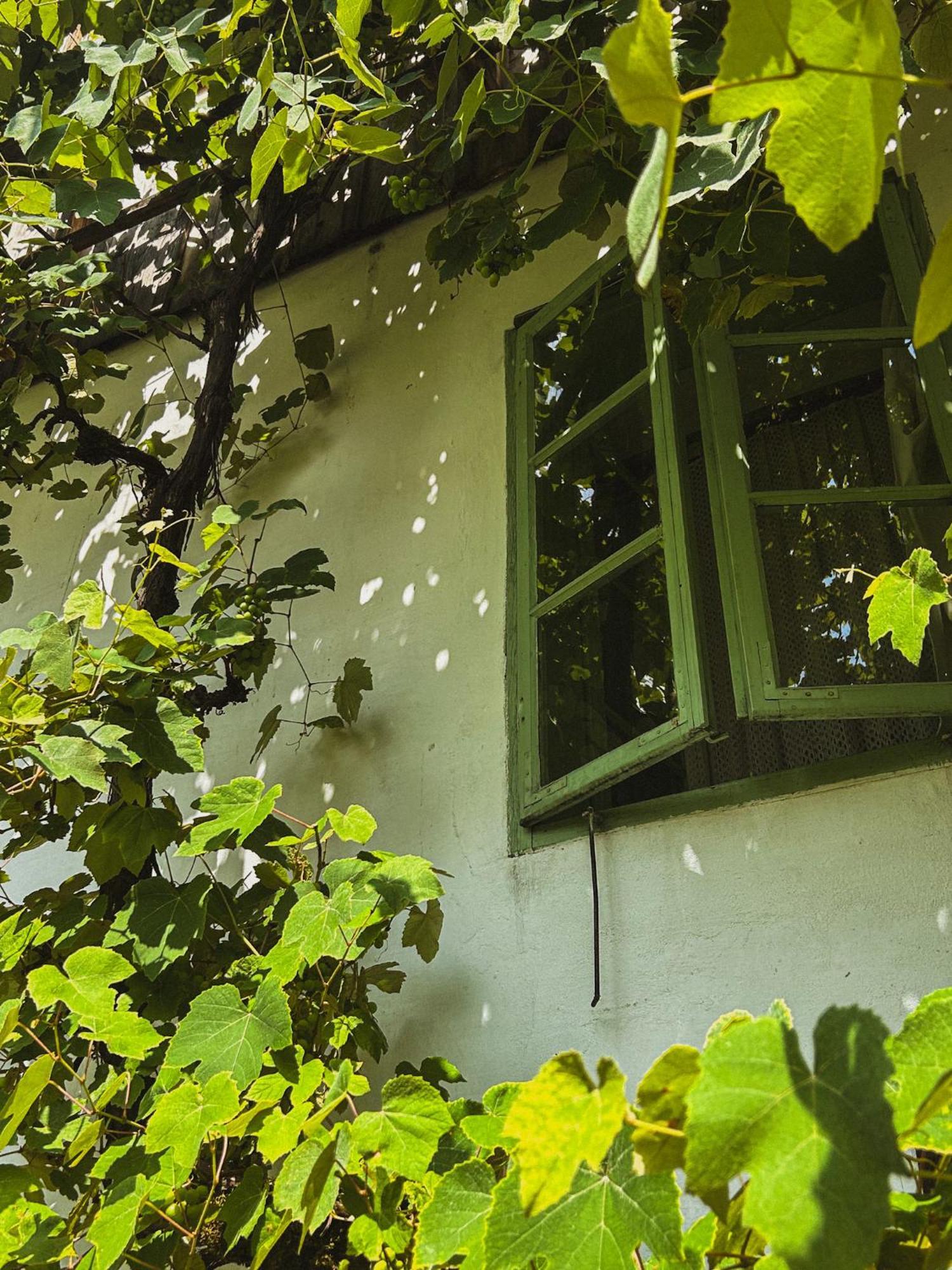 Vintage House Podliparska Guest House Fara ภายนอก รูปภาพ
