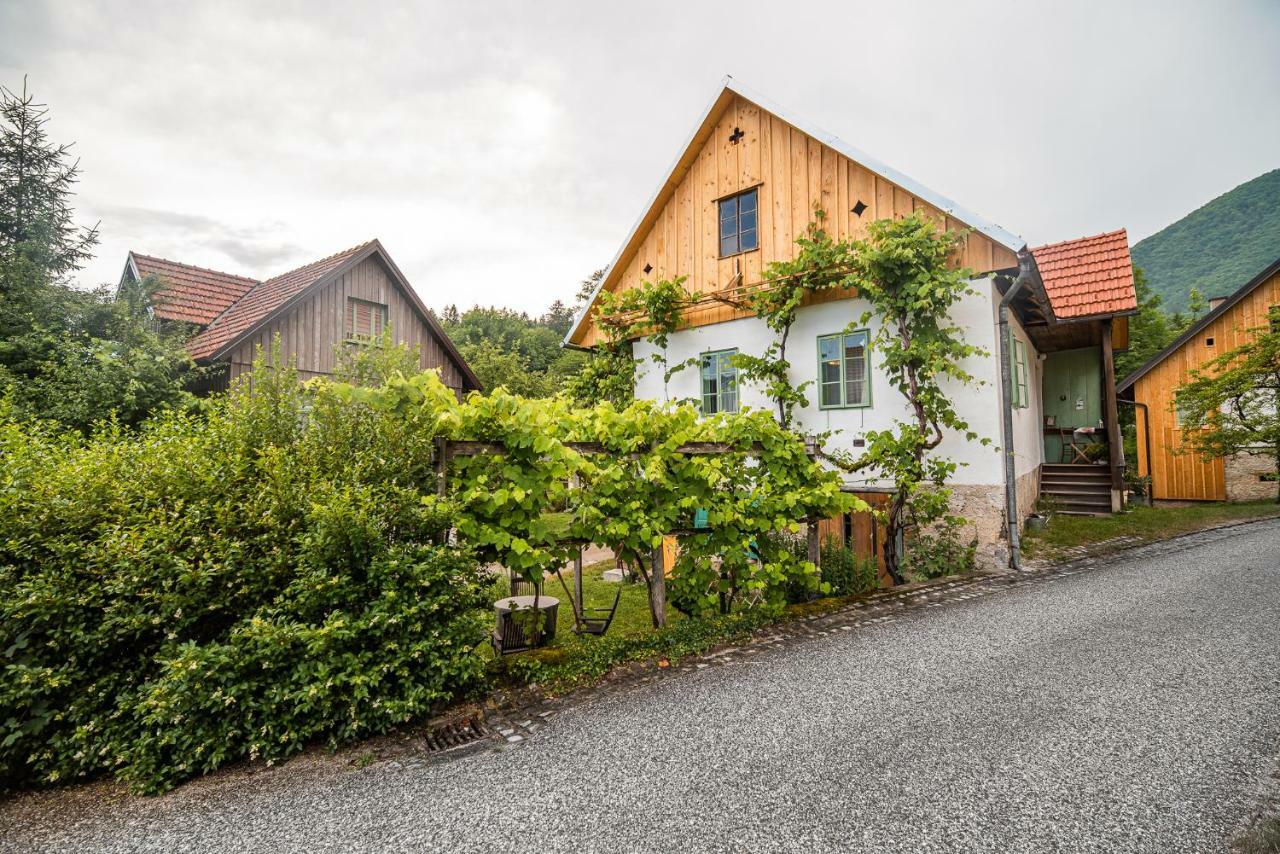 Vintage House Podliparska Guest House Fara ภายนอก รูปภาพ