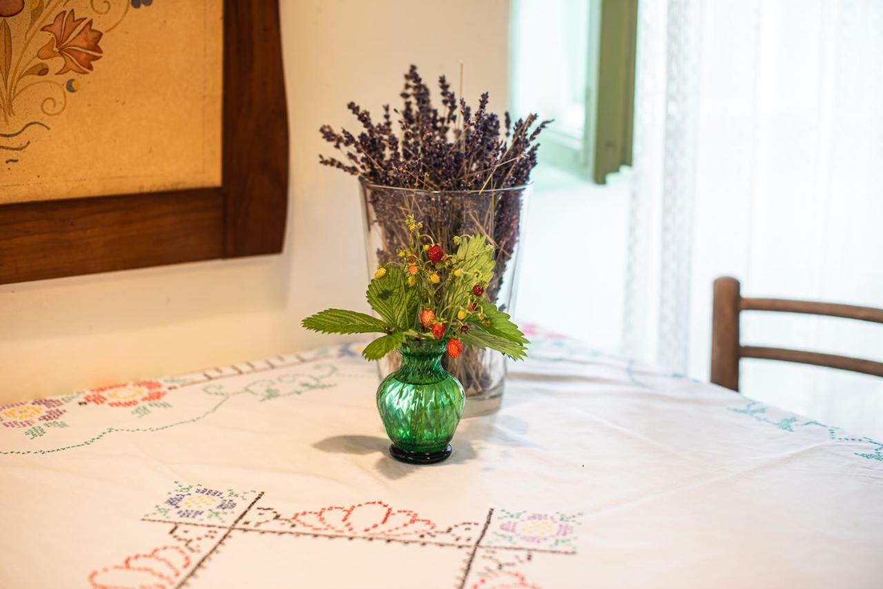 Vintage House Podliparska Guest House Fara ภายนอก รูปภาพ